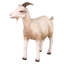 Statue de jardin Billy Goat