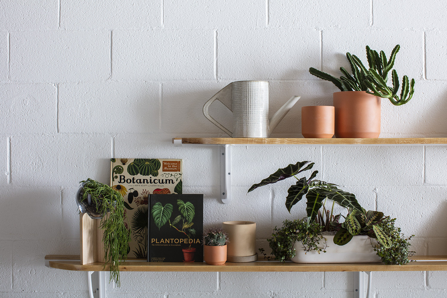 Anaya 6" Pot Planter
