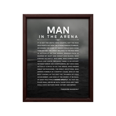 Theodore Roosevelt - Un homme dans l'arène