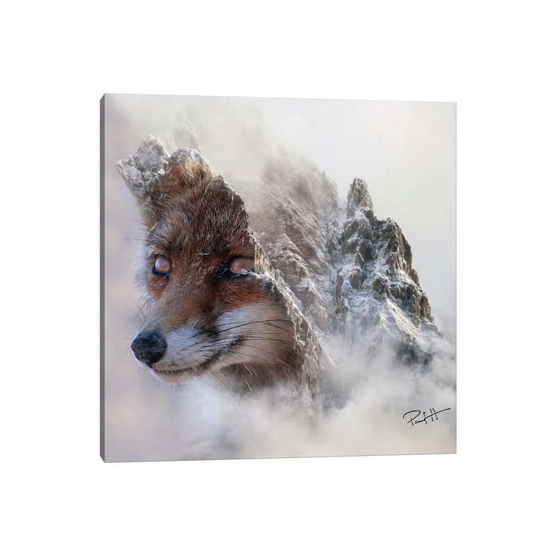 Mountain Fox by Paul Haag - Print on Canvas, Wrapped Canvas, 45.72 cm H x 45.72 cm W x 1.91 cm D