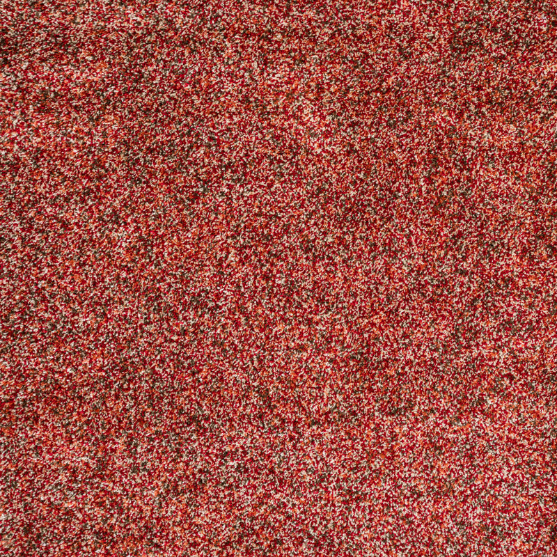 Dimitrios Shag Area Rug, Rectangle 200 x 290cm
