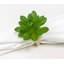 Napkin Ring