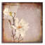 «Paper Magnolia Duo» par Lightbox Journal-940427369