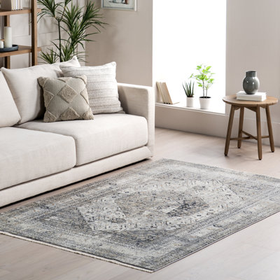 Charvi Distressed Medallion Fringe Area Rug