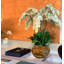Orchid Floral Arrangement in Planter