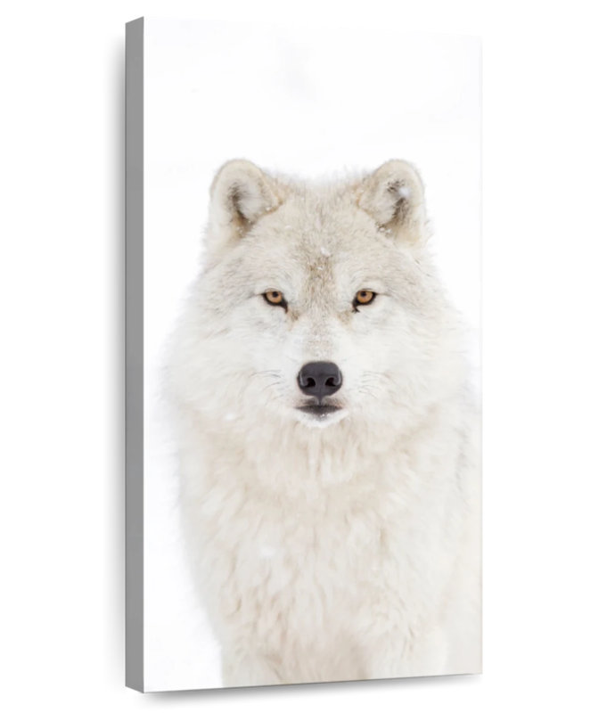 Snow White Arctic Wolf, 30" H x 15" W
