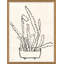 Peregrina II Framed by Susan Hable