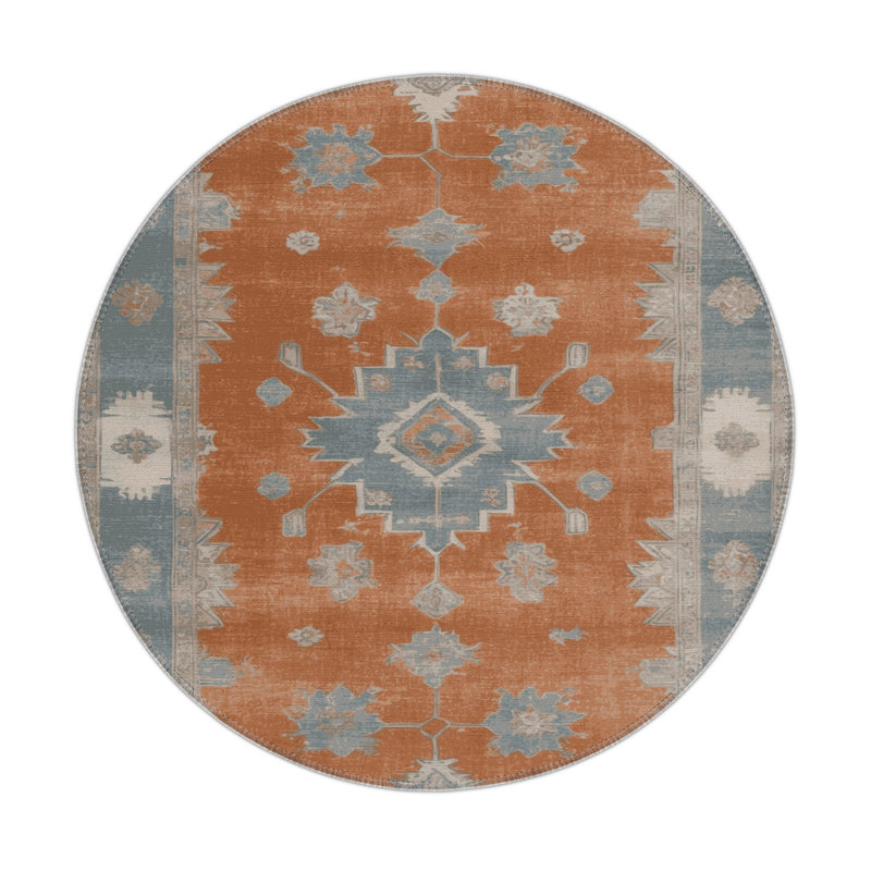 Tapis intérieur et extérieur brun Overdyed, Rond 5 pi