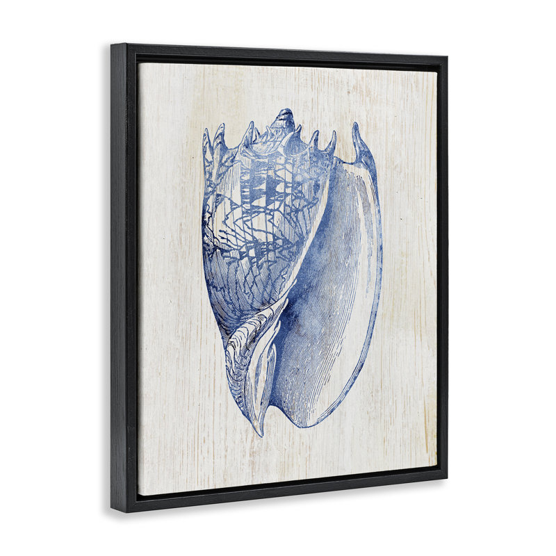 Cadre flottant nautique bleu clair Conque, conception par Susan Arnot, Cadre flottant noir de jais, H 21 po x l 17 po
