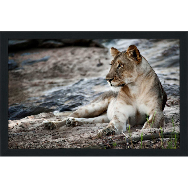 «Afprès Pose», reproduction de photo, H 21,5 po x l 27,5 po x P 0,75 po, Cadre espresso