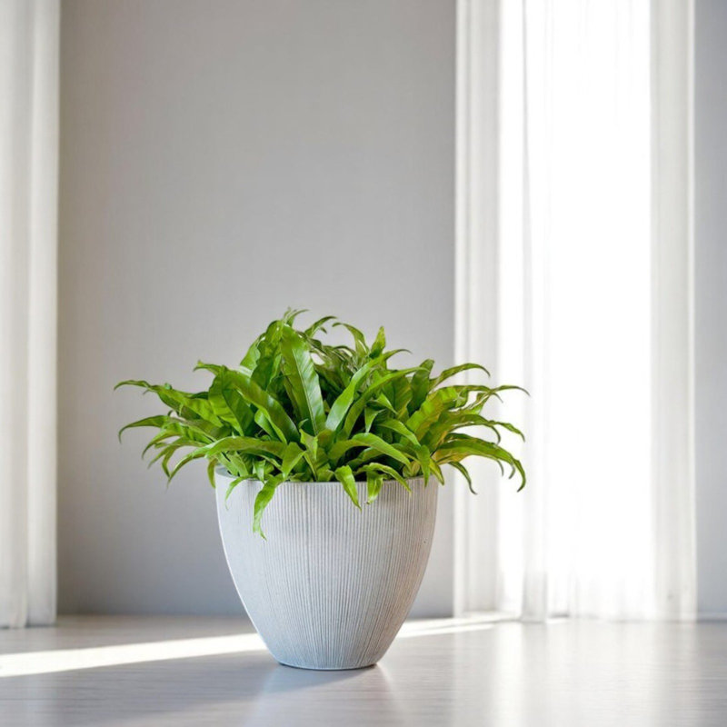 Glen Ellyn Pot Planter, 14" H x 16.5" W x 16.5" D, Light Gray