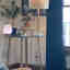 Customer photo 2 of 3