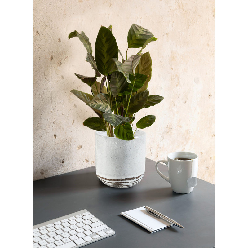 Ceramic Table Vase