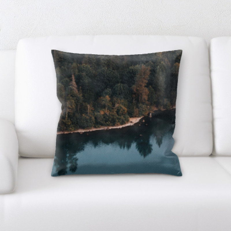 Coussin décoratif