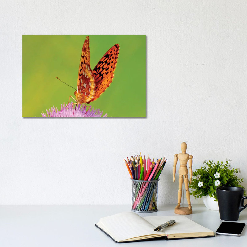 Fritallary On Thistle by Brian Wolf - Wrapped Canvas Print, 20.32cm H x 30.48cm W x 1.91cm D