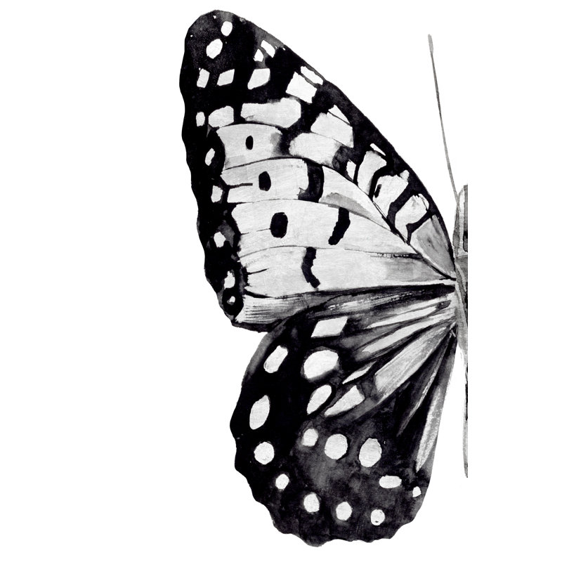 Monochrome Wings I - Wrapped Canvas Painting, 30cm H x 20cm W