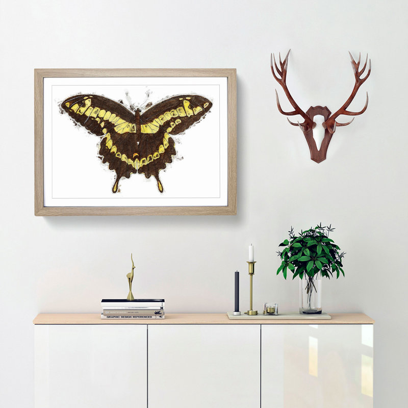 A Papilio Butterfly by George Shaw - Framed Print, 33cm H x 45cm W x 2cm D, Oak Framed
