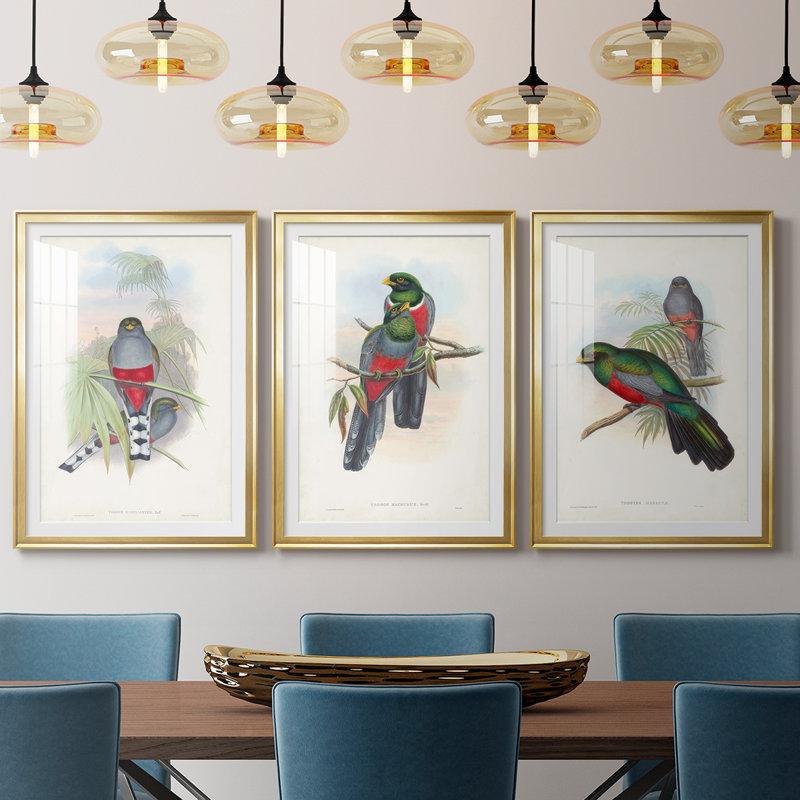 Gould Tropical Birds IV - reproduction encadrée sur mesure de qualité supérieure mate - 3 pièces, H 15 po x l 19 po, Doré