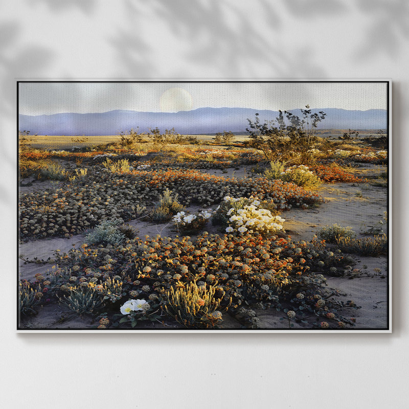 Anza Borrego, désert encadré sur toile, Cadre blanc, H 17 po x l 25 po x P 2 po