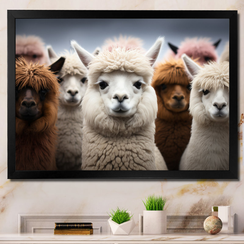 Alpacas Graceful Fibers - Imprimé, H 34 po x l 44 po x P 1,5 po, Cadre photo noir
