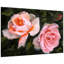 «Ethereal Roses II»