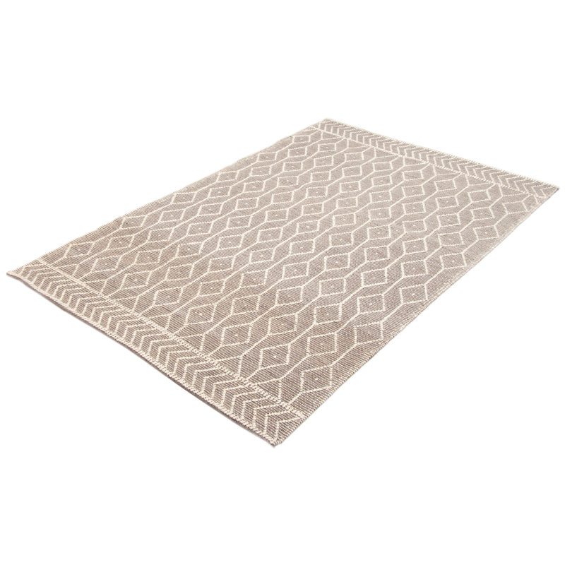 Delci Performance Hand Braided Wool Rug