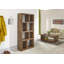 Pisani 165cm H x 80cm W Library Bookcase