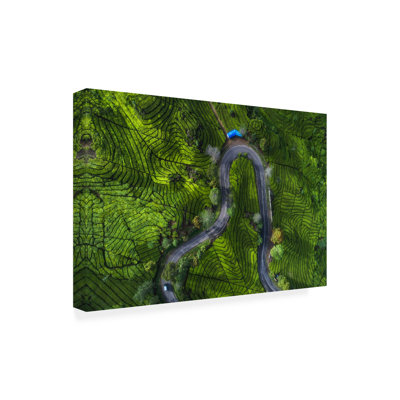Bolog Jean Claude Castor Indonesia Rancabali Tea Aerial Canvas Art