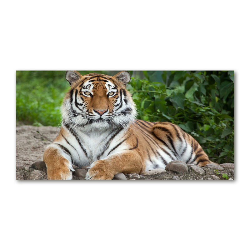 Northbrook 50cm W x 100cm L Glass Peel and Stick Panel