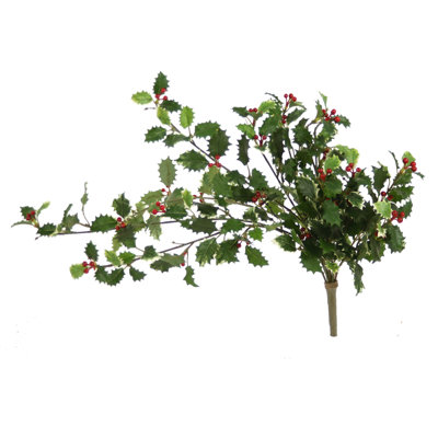 Ensemble 12 branches de vigne holly