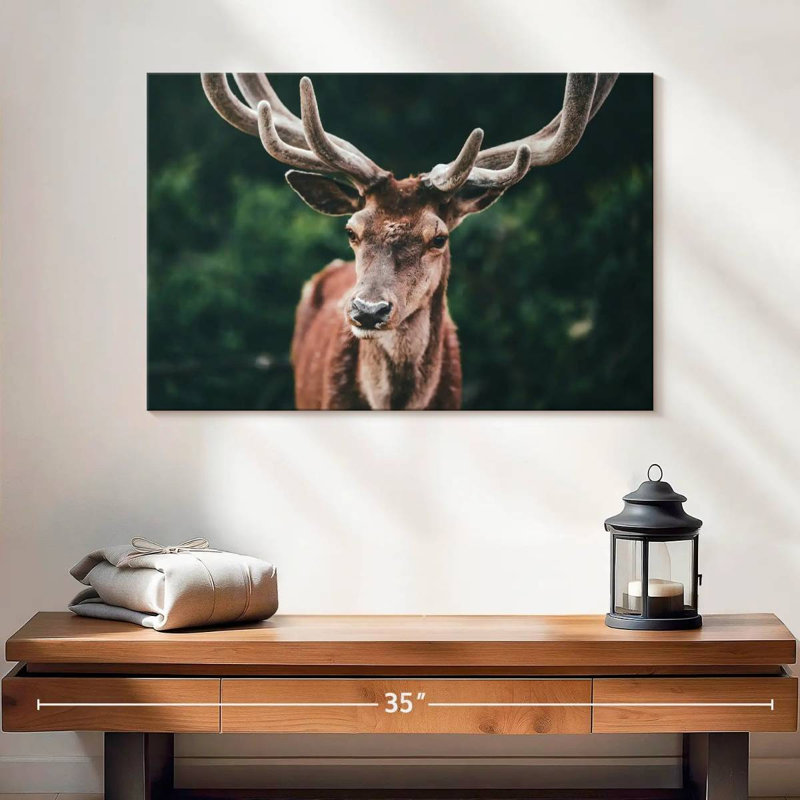 Majestic Red Deer, 16" H x 24" W