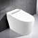 Toilette allongée une pièce Cosvalve 1,28 GPF (économe en eau) (siège inclus)