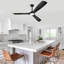 42'' Black Ceiling Fan with LED lights with Remote APP-88202007-88202012