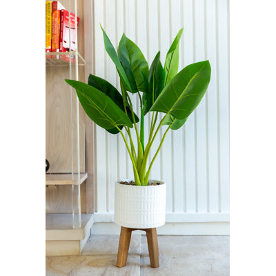 31'' Faux Palm Tree in Ceramic Planter