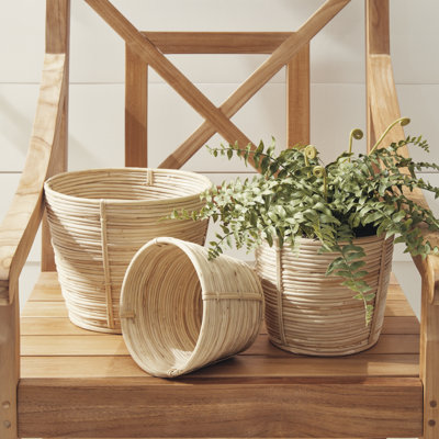 AllModern Kamal Rattan Decorative Basket