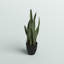 Plante de serpent artificielle Sansevieria en pot-1492571405