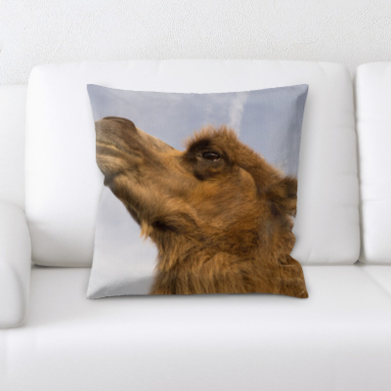 Pritchett Microsuede Reversible Throw Pillow