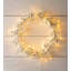 LED Net Lights