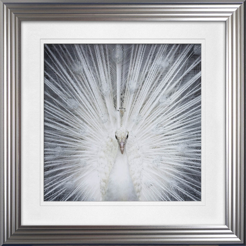 Single Picture Frame Print