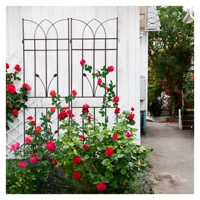 Ensemble de 2 treillis de jardin en métal antirouille 71 po pour plantes grimpantes - Support extérieur en fer brun et écran d'intimité