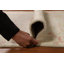 Tapis turc Oushak 3 x 10