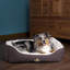 Wilton Polyester Pet Bed-1882413909-1882413910