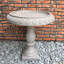 Bain d'oiseaux Almaden-903373618