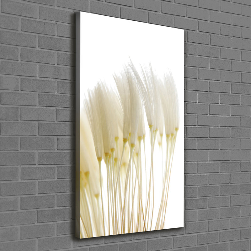 Dandelion Seeds - Wrapped Canvas Print