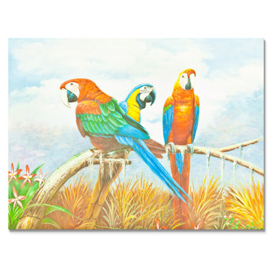 " Colourful Macaw Parrot Painting "