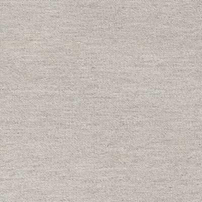 Area Rug in Gray