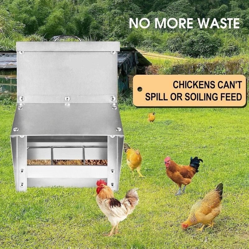 Mangeoire à poulets 11,5 à 55 lb