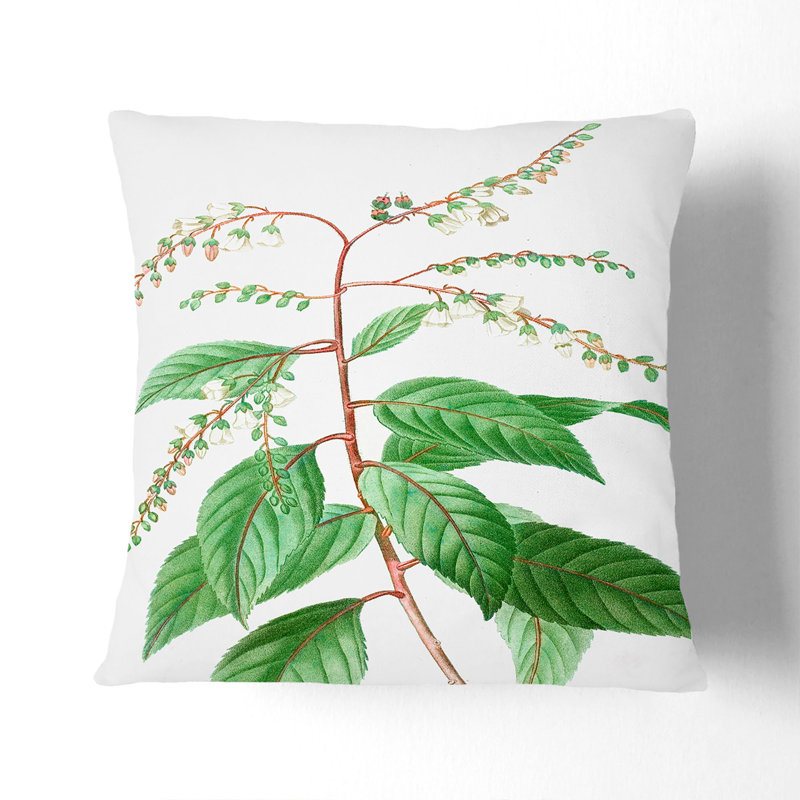 Floral Square Throw Cushion, Black, 55cm H x 55cm W x 20cm D