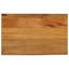 Everlie Solid Wood Table Top-1821752809
