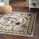Pioneer Indoor Rug